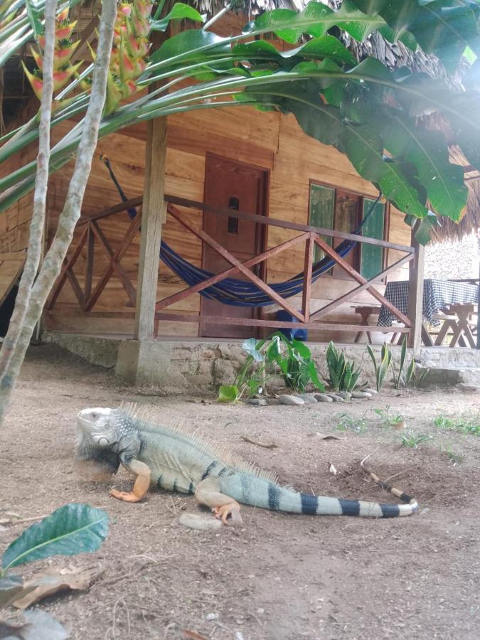 Ecocabanas Diosa Jaguar Tayrona Santa Marta  Exterior photo