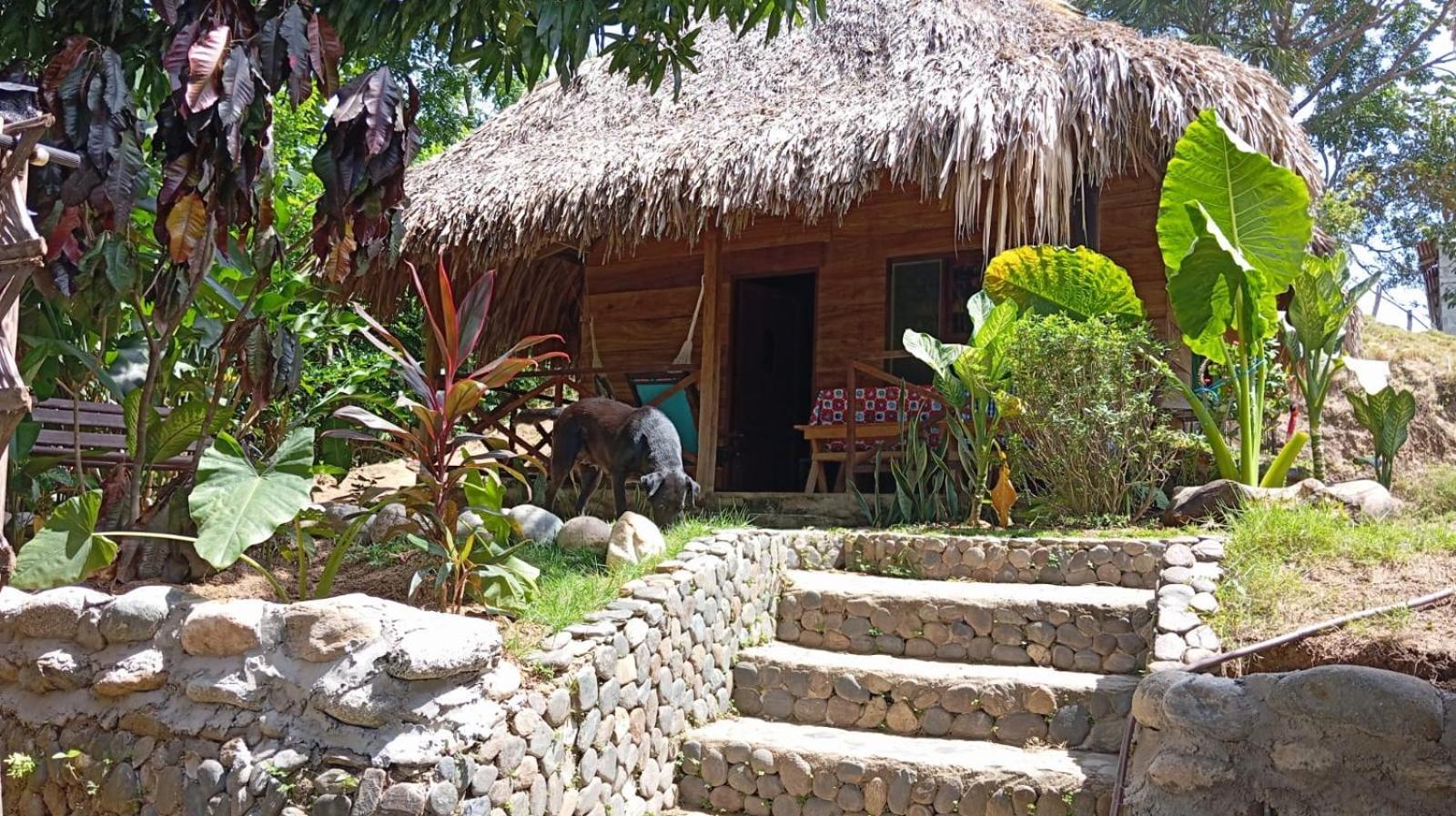 Ecocabanas Diosa Jaguar Tayrona Santa Marta  Exterior photo