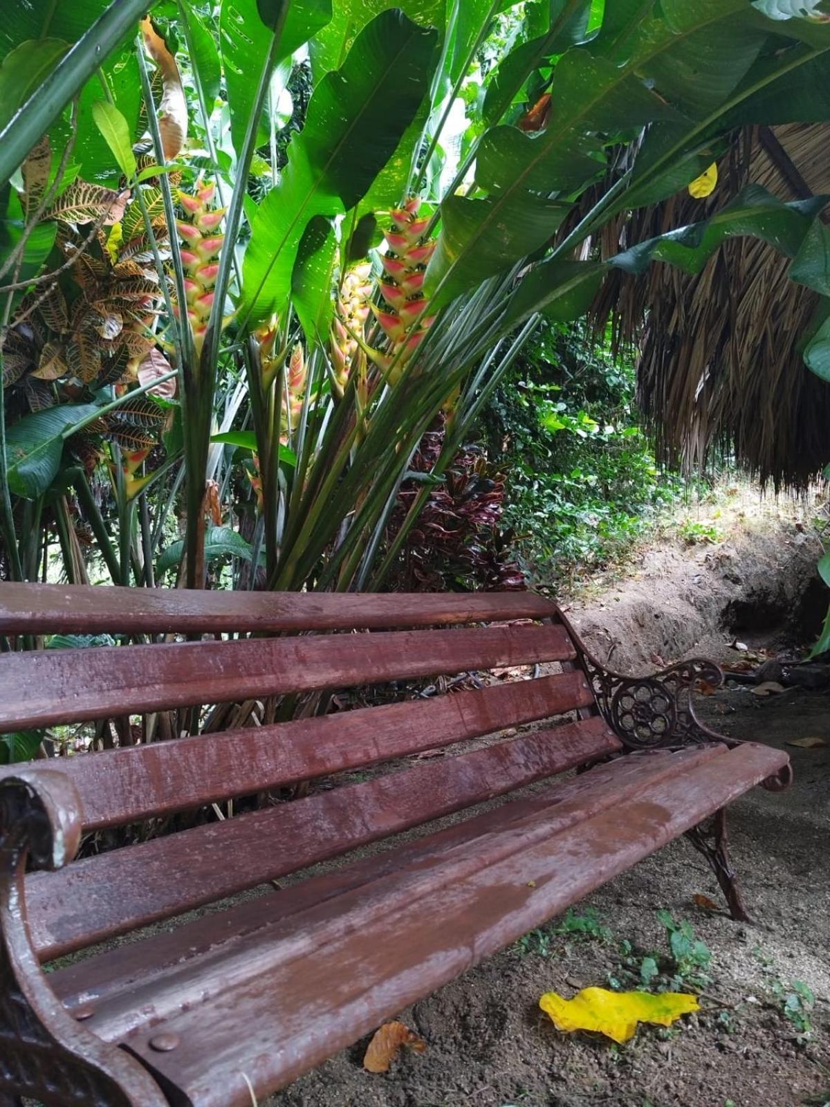 Ecocabanas Diosa Jaguar Tayrona Santa Marta  Room photo