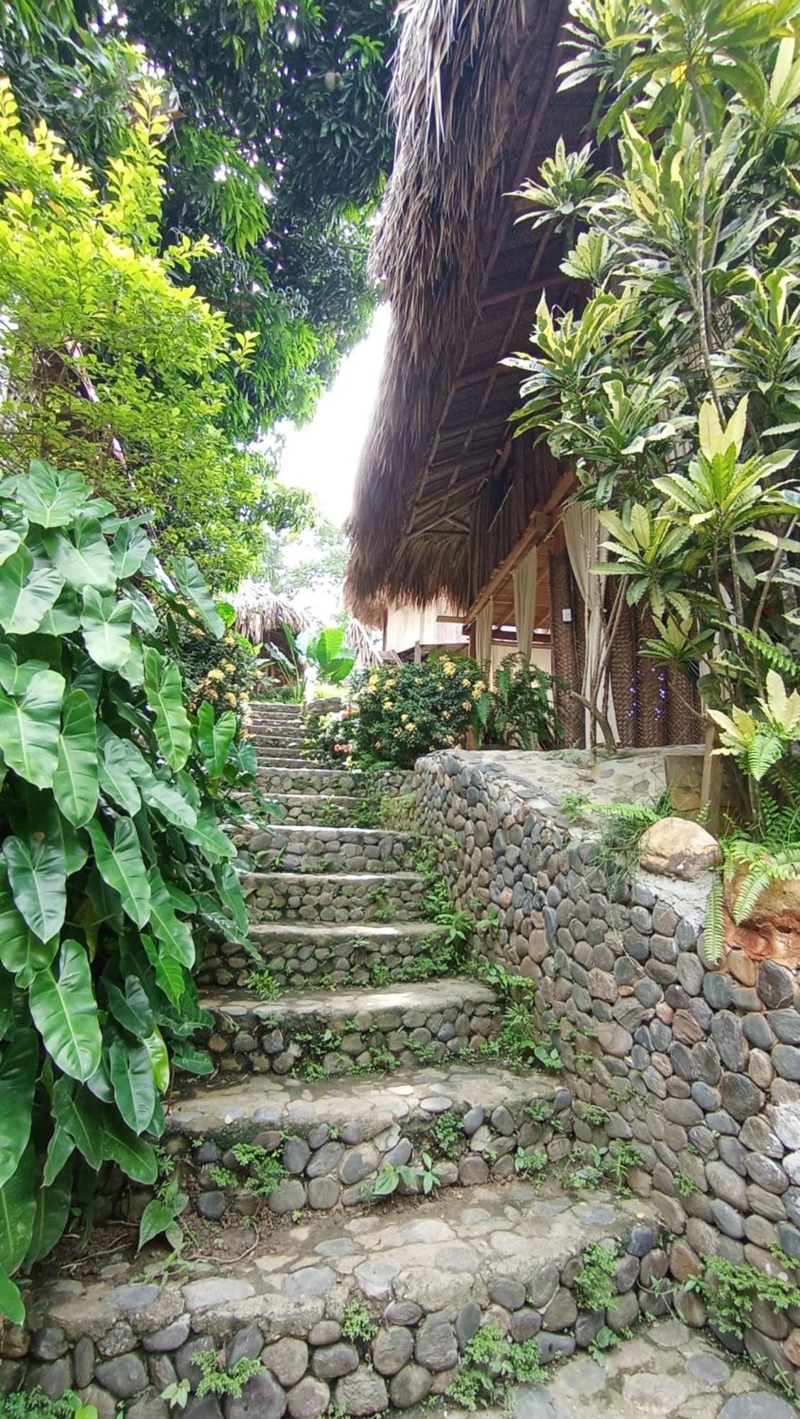 Ecocabanas Diosa Jaguar Tayrona Santa Marta  Exterior photo