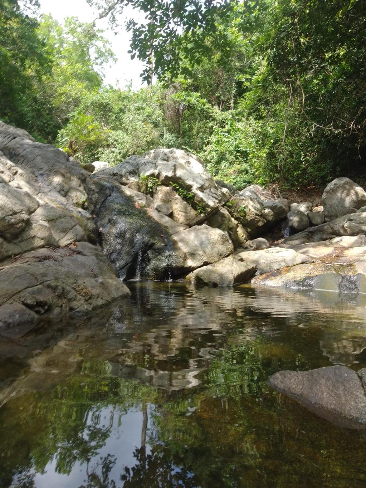 Ecocabanas Diosa Jaguar Tayrona Santa Marta  Exterior photo